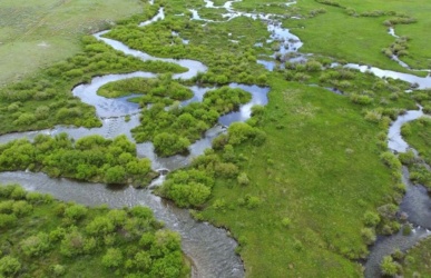 Building a Common Voice for Healthy Stream and River Systems